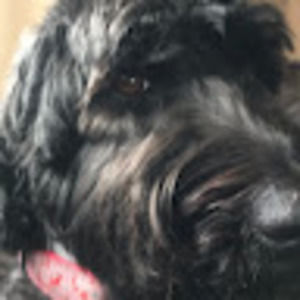 Meet your Posher, Jodi